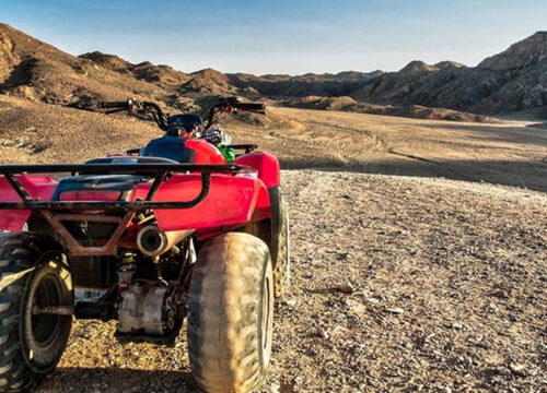 Marsa Alam’s Top Tauchplätze: Wo du das beste Meeresleben sehen kannst