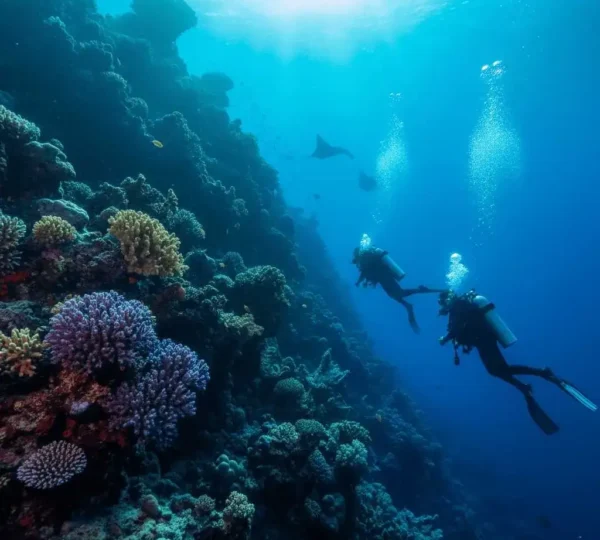 Tauchpl&auml;tze in Marsa Alam