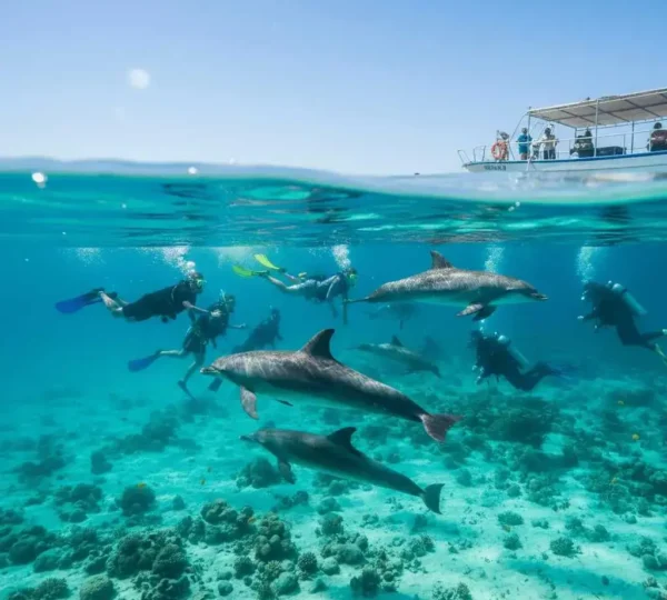 Tauchpl&auml;tze in Marsa Alam