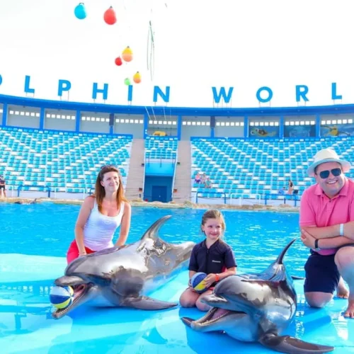Dolphin World Show