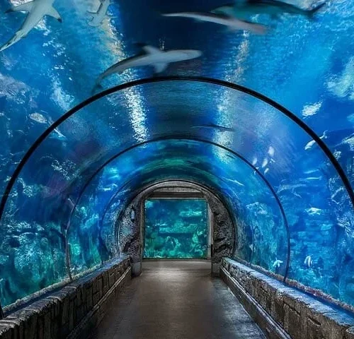 Erleben Sie das Hurghada Grand Aquarium mit Hurghada
