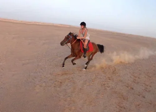 Rotes Meer Wüste Reittour mit Schwimmen in Hurghada