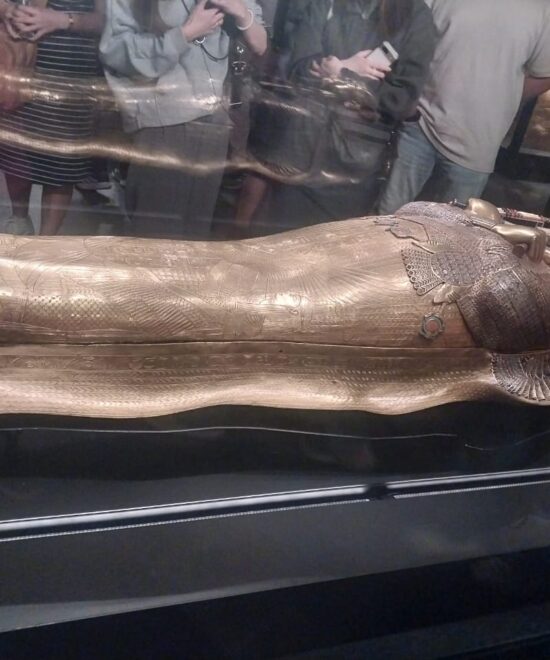 WhatsApp Image 2025-12-09 at 5.48.55 PM