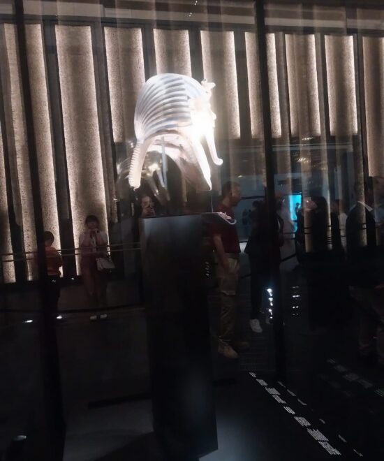 WhatsApp Image 2025-12-09 at 5.48.56 PM (2)