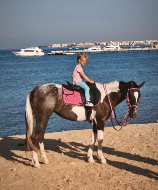 WhatsApp Image 2025-12-09 at 5.57.31 PM