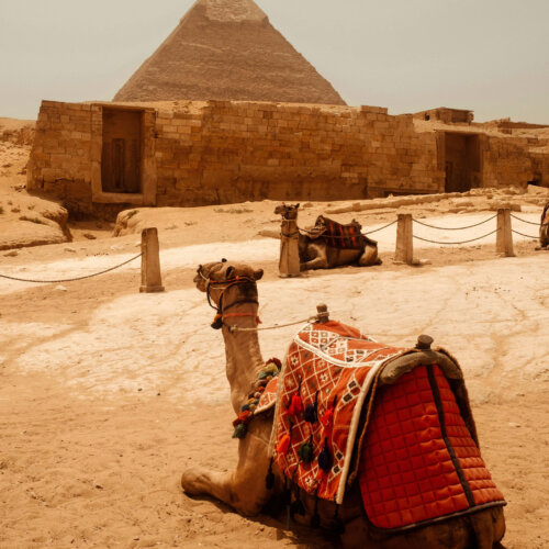 Privater Ausflug Kairo 2 Tage ab Hurghada