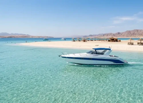 Privates Speedboot Hurghada | VIP Delfin- & Schnorchelausflug