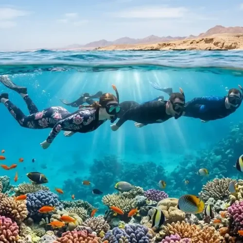 Hula Hula Insel Ausflug Hurghada