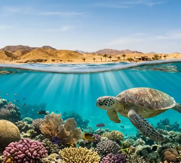 Hurghada nach Marsa Alam