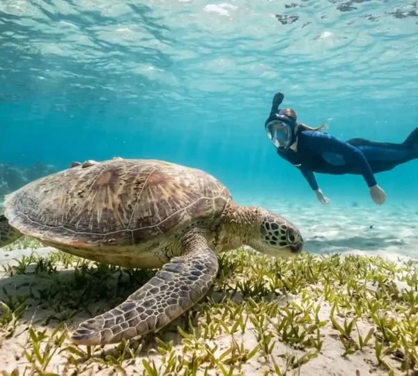 Marsa Alam Schnorcheln