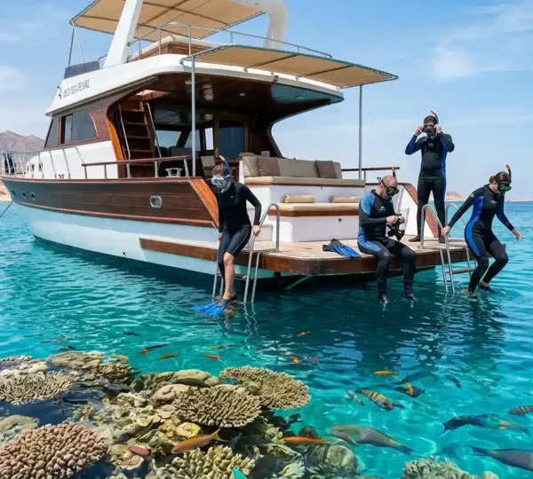 Marsa Alam Schnorcheln
