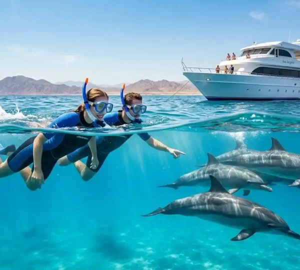 Marsa Alam Schnorcheln