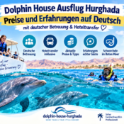 Dolphin House Ausflug Hurghada Preise und Erfahrungen auf Deutsch