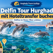 Delfin Tour Hurghada mit Hoteltransfer buchen – Delfine im Roten Meer erleben
